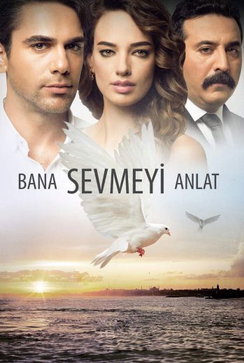 مسلسل علمني كيف أحب