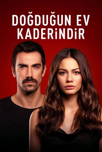 مسلسل منزلي